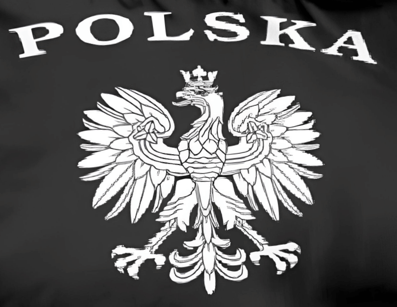 "Black Eagle" 3x5 Foot Poland Ensign Flag - Polska Eagle Flags