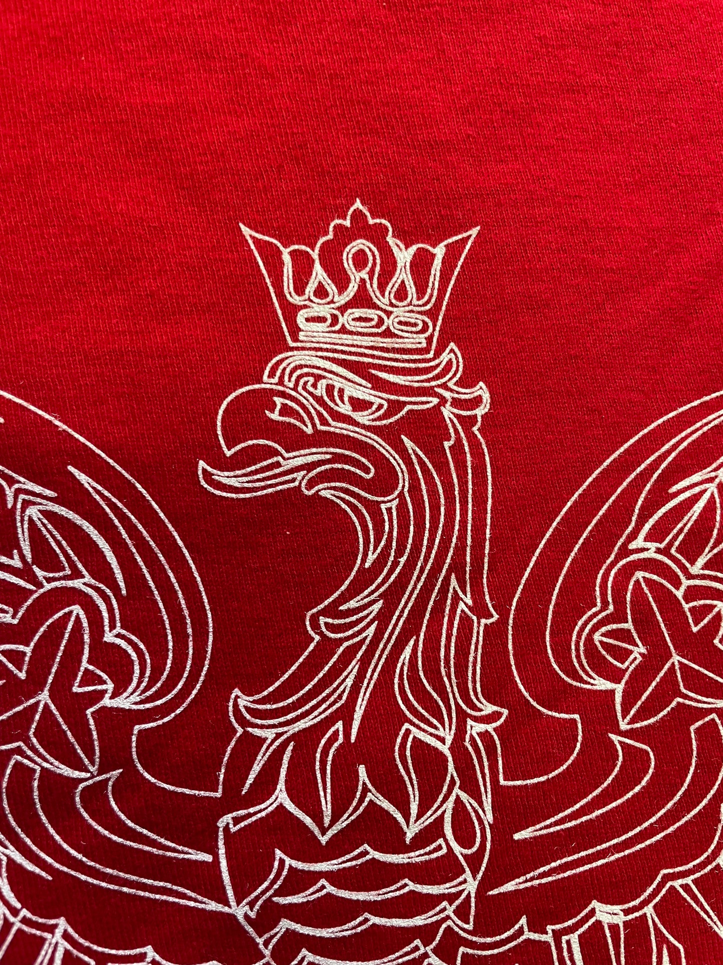 Youth-Toddler Polish Eagle Print T-Shirt Polska Red/White