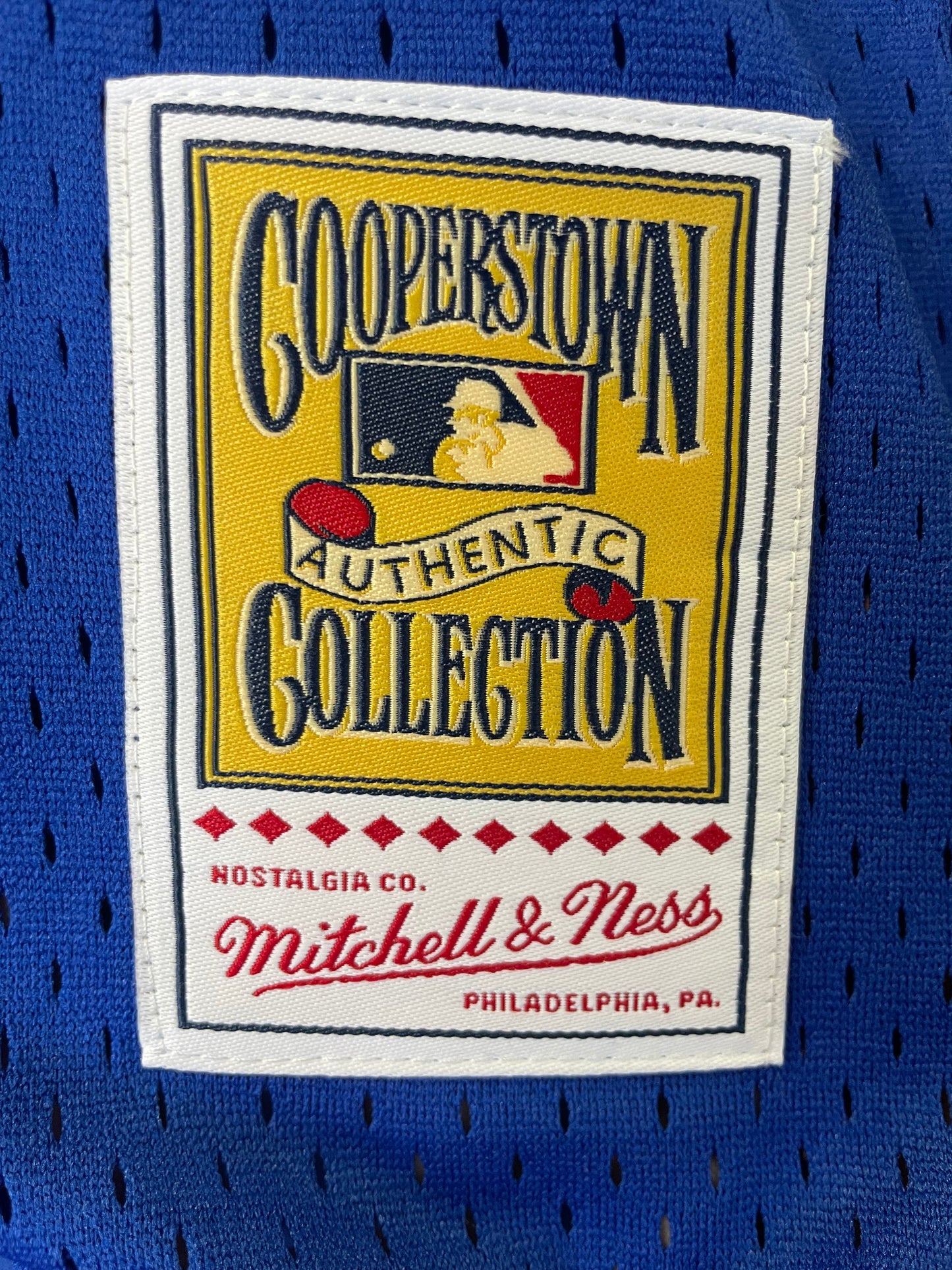 Chicago Cubs Sandberg Mitchell & Ness Youth Batting Practice Jersey