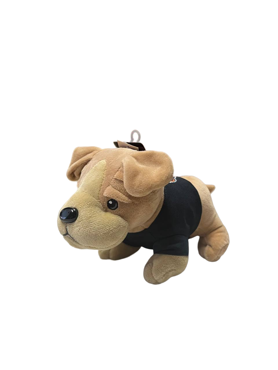 Bears Golden Retriever Plush by FOCO