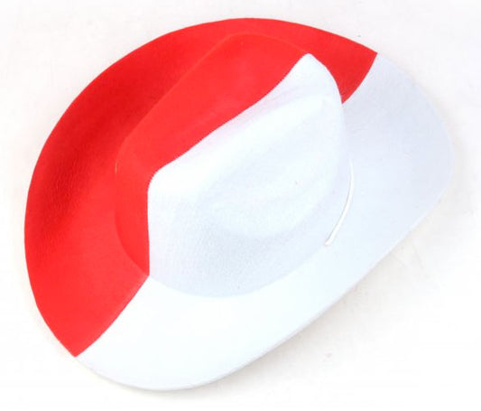 Polska National Colors Cowboy Hat
