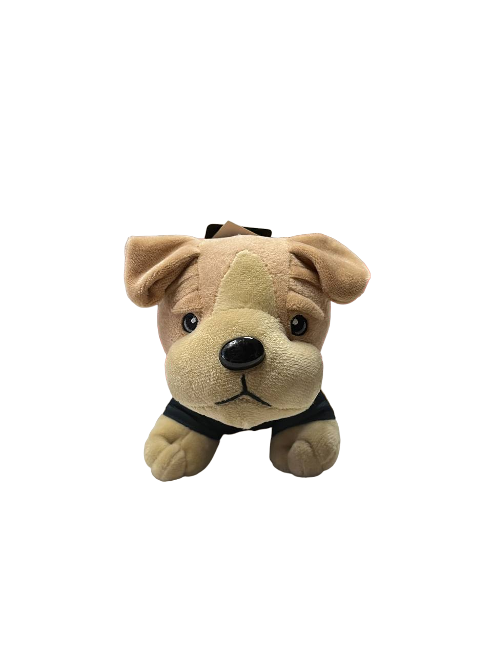 Bears Golden Retriever Plush by FOCO
