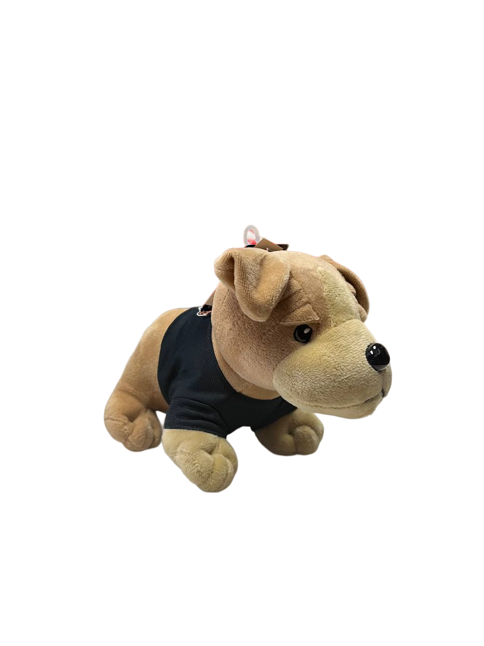 Bears Golden Retriever Plush by FOCO