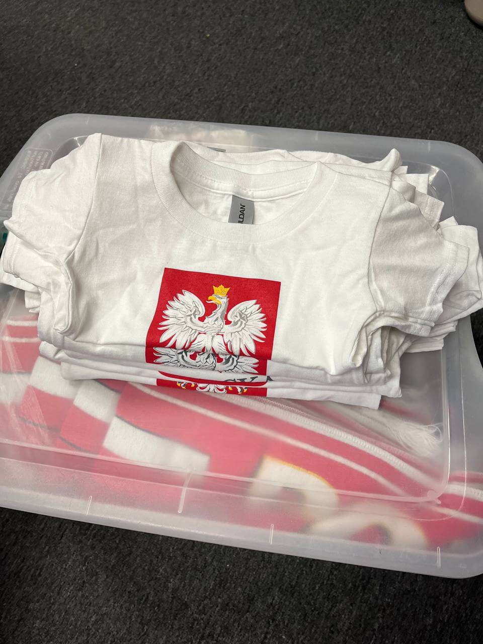 Bulk Of Polish Kids T-Shirt With Eagle Polska and Sign 15 Pack White