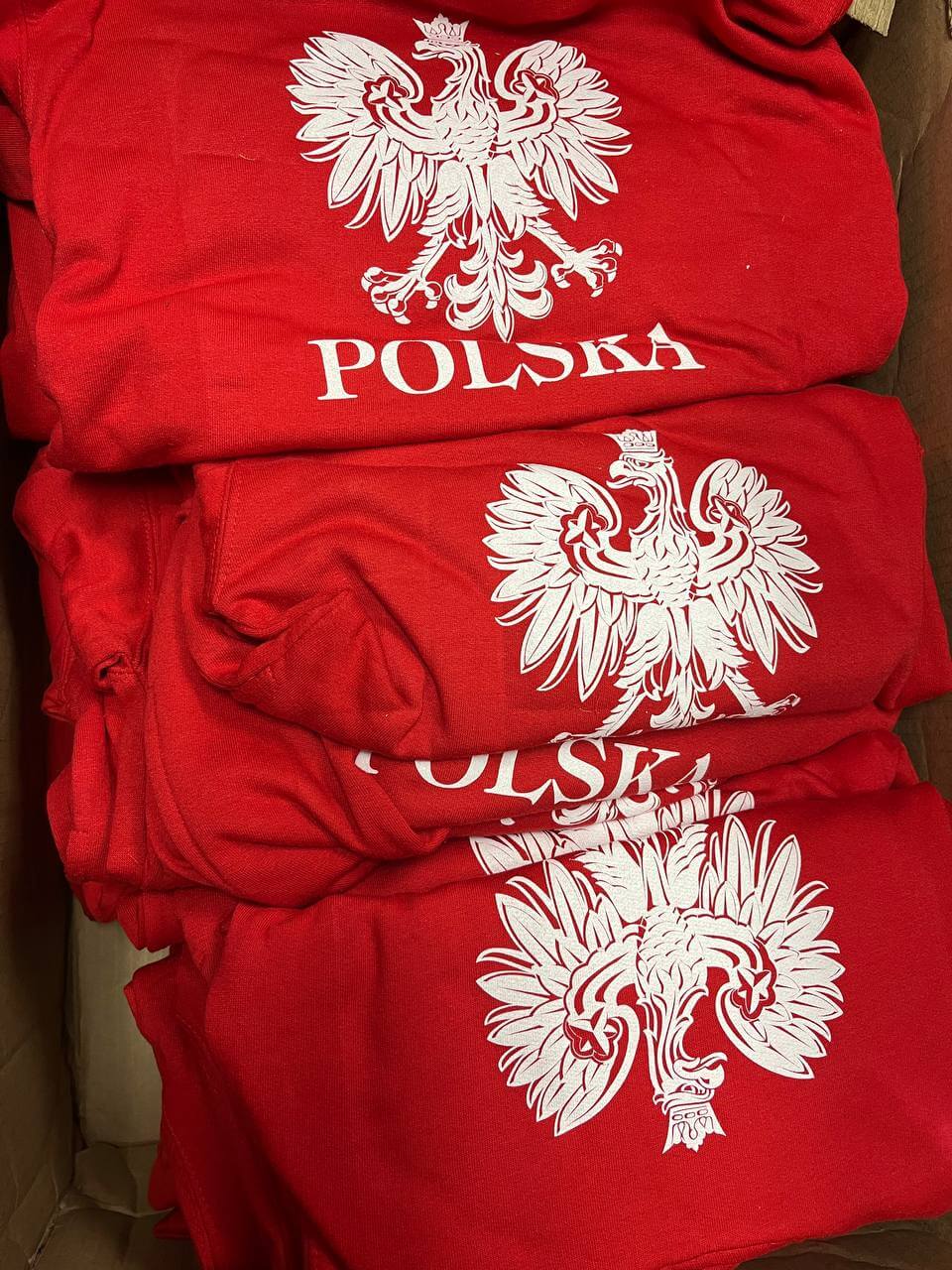 Bulk of Polish Todler/Kids Hoodie With Eagle And Polska Print 12 Pack
