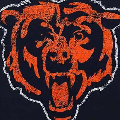 Youth Chicago Bears Distressed Basic Logo T-Shirt NFL Official Vintage Tee