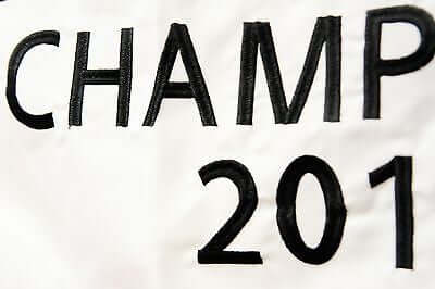 Chicago Blackhawks 2015 Cup Champions Flag Embroidered Banner 28"X44" Two Sided