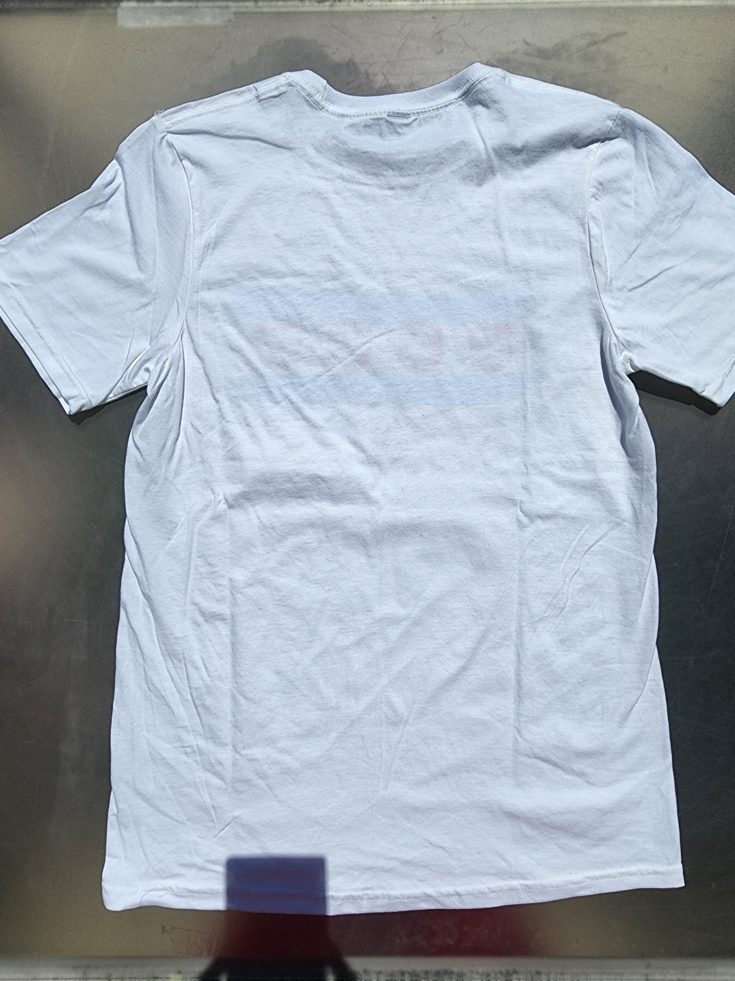 Polish T-Shirt with Chicago Flag Eagles