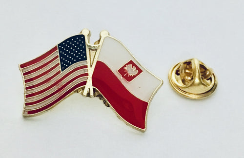 USA Poland America Flag Lapel Pin
