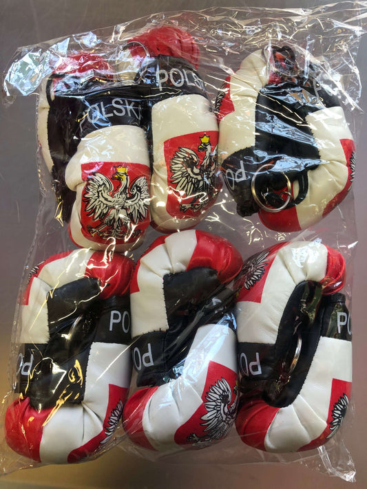 Bulk Of 6 Poland Polish Boxing Gloves Mini Olympics Mirror Car Hanging 2" x 4"
