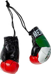 Mexico - Mini Boxing Gloves  2"x3" in