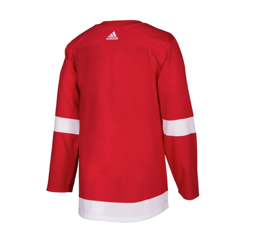 Men's Detroit Red Wings adidas Red Home Authentic Blank Jersey