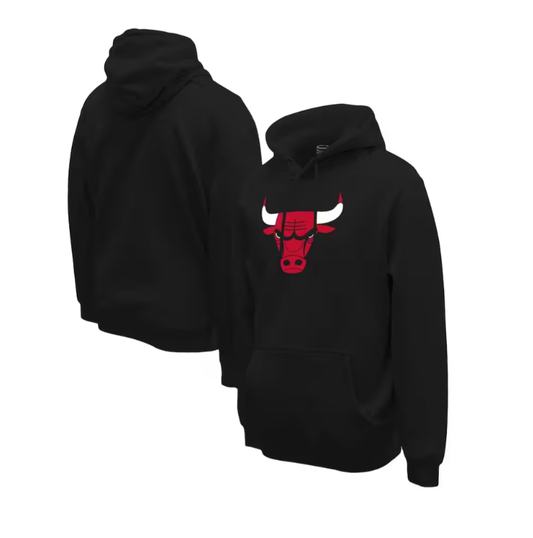 Chicago Bulls Stadium Essentials Unisex Fanatics Primary Logo Pullover Hoodie