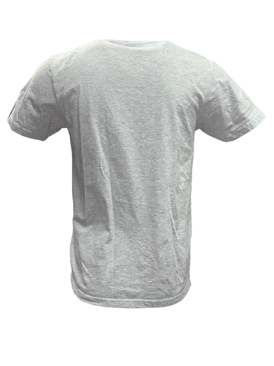 Polska Printed Eagle Crest T-Shirt - Gray