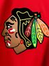 Chicago Blackhawks Adidas  HOSSA # 81 Authentic Jersey