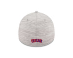 Chicago Cubs 3930 Distinct  Lights Grey  Cap