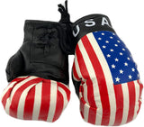 USA Hanging Car Mirror Mini Boxing Gloves