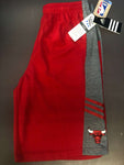 Bulls;;Surface Short'' Red /Grey Youth