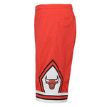 Youth Chicago Bulls Mitchell & Ness Red Hardwood Classics Swingman Shorts