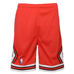 Youth Chicago Bulls Mitchell & Ness Red Hardwood Classics Swingman Shorts