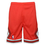 Youth Chicago Bulls Mitchell & Ness Red Hardwood Classics Swingman Shorts
