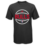 Chicago Bulls Youth adidas Black Practicewear Ultimate T-Shirt