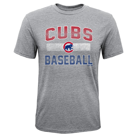 Chicago Cubs Youth Gray "Hall of Fame" T-Shirt Tee