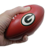 NFL- GREEN BAY PACKERS STRESS FOOTBALL