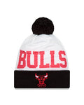 NBA Chicago Bulls Hwc Mesh Layer Knit Beanie, One Size, Black